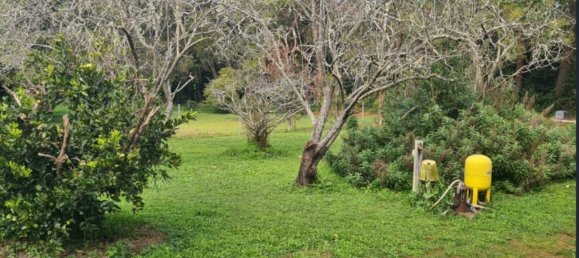 2 غرف نوم منزل في Pechey, Australia رقم 185 12