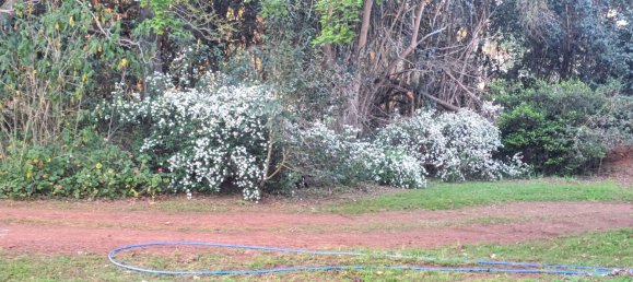 2 غرف نوم منزل في Pechey, Australia رقم 185 16