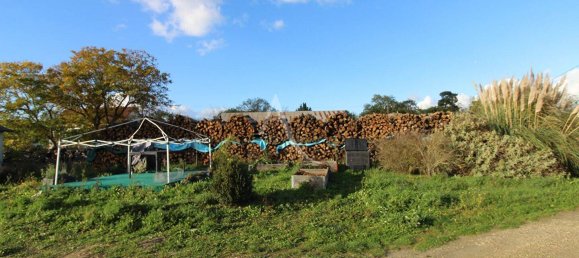 2 غرف نوم منزل في Loir-et-Cher, France رقم 85814 8