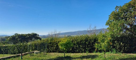 4 bedrooms House in Magliano in Toscana, Italy No. 81767 12