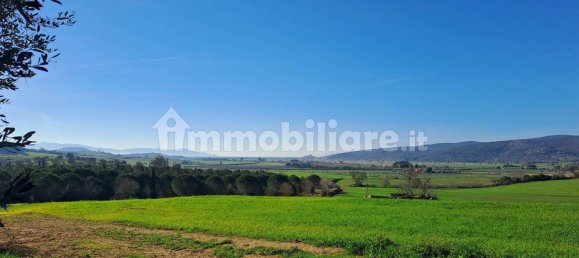 4 bedrooms House in Magliano in Toscana, Italy No. 81767 30