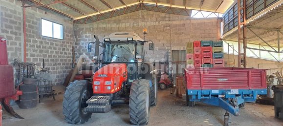 4 bedrooms House in Magliano in Toscana, Italy No. 81767 21