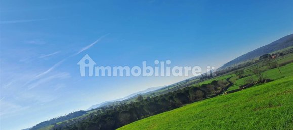 4 bedrooms House in Magliano in Toscana, Italy No. 81767 23