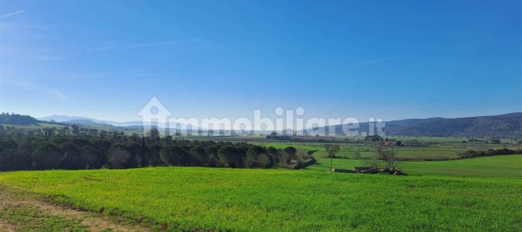 4 bedrooms House in Magliano in Toscana, Italy No. 81767 26