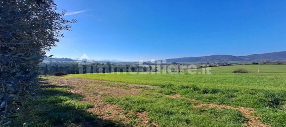 4 bedrooms House in Magliano in Toscana, Italy No. 81767 25