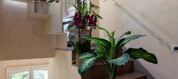 6 rooms Villa in San Giuliano Terme, Italy No. 132882 7