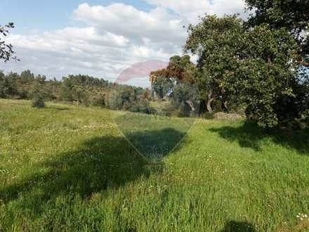 2250m² Land in Castelo Branco, Portugal No. 62568