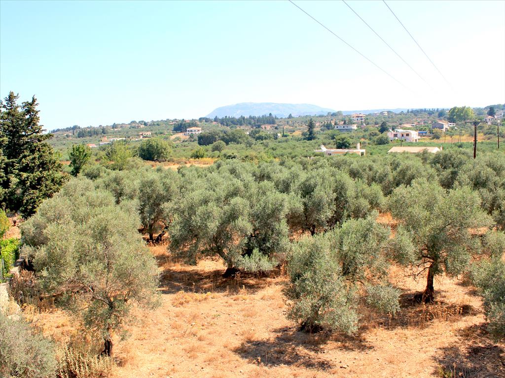 8243 m² hotel en venta en Vamos, Apokoronas, Chania, Crete, Greece № 7604