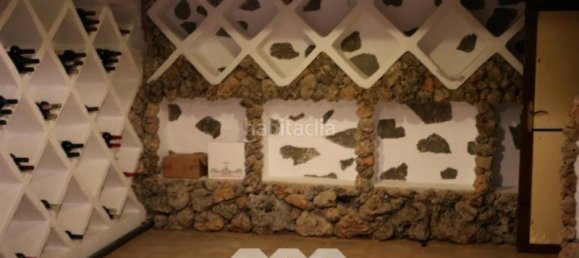 8 bedrooms Villa in Benajarafe, Spain No. 60172 7