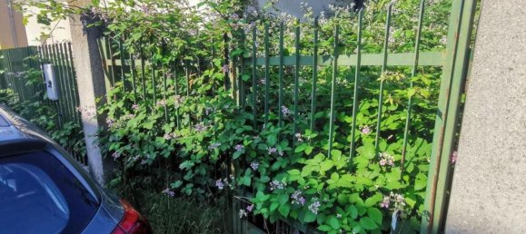 3 Schlafzimmer Haus in Rho, Italy, Nr. 373120 3