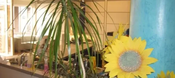 1031m² Building in Bonn, Germany No. 58494 3