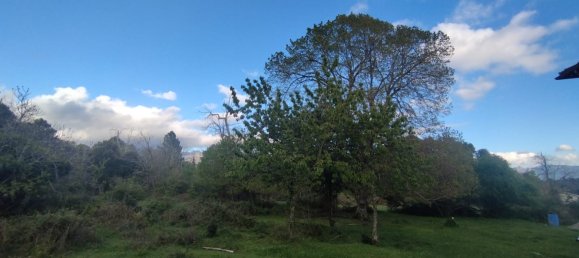  Land in Quenza, France No. 42552 3