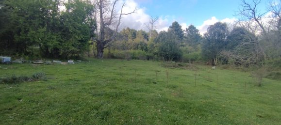  Land in Quenza, France No. 42552 2