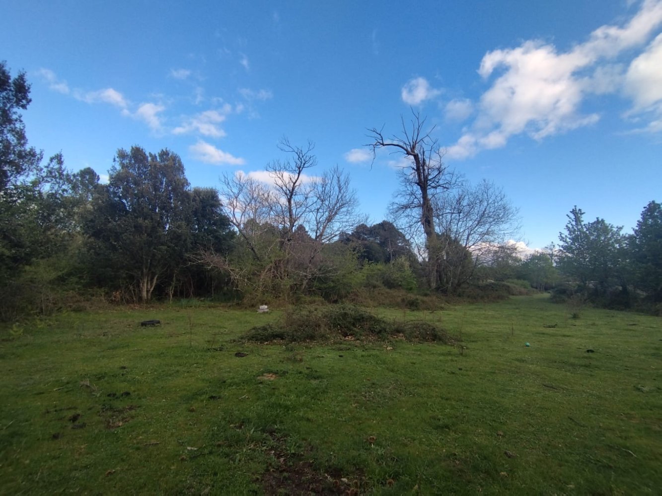  Land in Quenza, France No. 42552