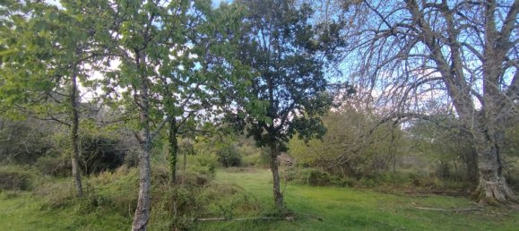  Land in Quenza, France No. 42552 5