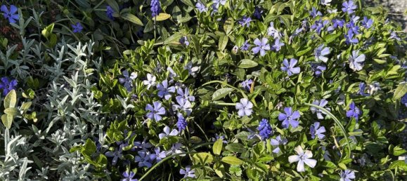 1 bedroom House in Mureck, Austria No. 145382 24