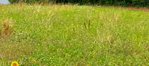 Terreno en Bassoues, France 3000 m² No. 286231 3