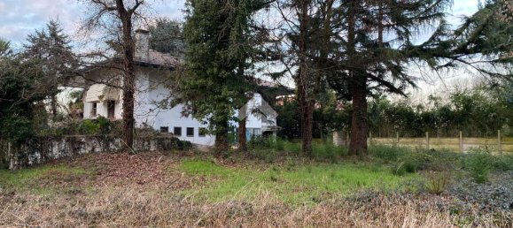 5 rooms Villa in Treviso, Italy No. 146538 7