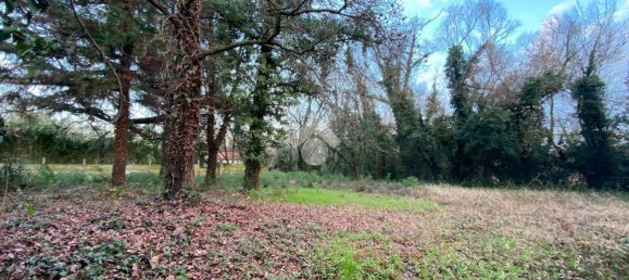 5 rooms Villa in Treviso, Italy No. 146538 9