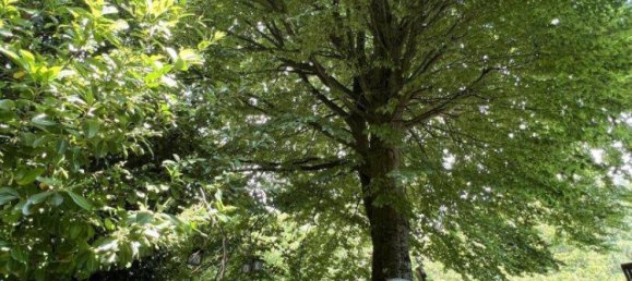 3 rooms House in Sieghartskirchen, Austria No. 190665 20