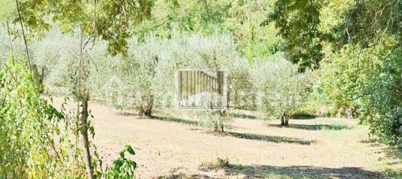 2 bedrooms Villa in Orvieto, Italy No. 281890 2