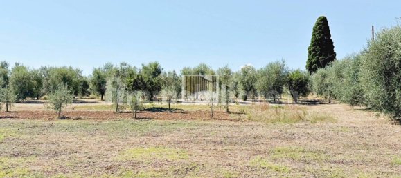 2 bedrooms Villa in Orvieto, Italy No. 281890 10