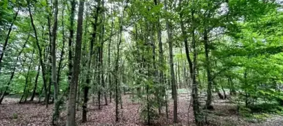 Grundstück in Merzig-Wadern, Germany, Nr. 31951 4