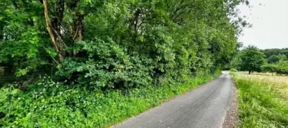 Grundstück in Merzig-Wadern, Germany, Nr. 31951 3