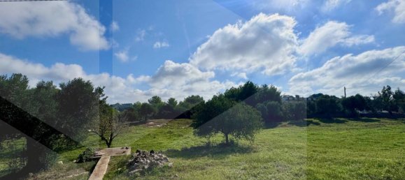 3 rooms Villa in Ostuni, Italy No. 22363 26