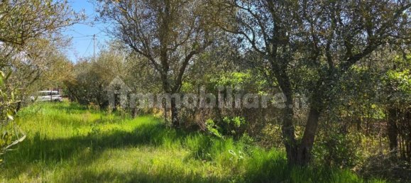 2 chambres Maison à Sardinia, Italy No. 338356 14