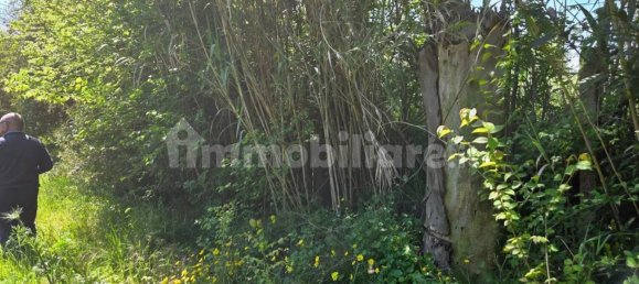 2 chambres Maison à Sardinia, Italy No. 338356 9