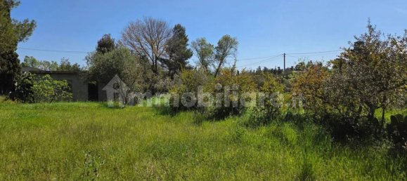 2 chambres Maison à Sardinia, Italy No. 338356 4