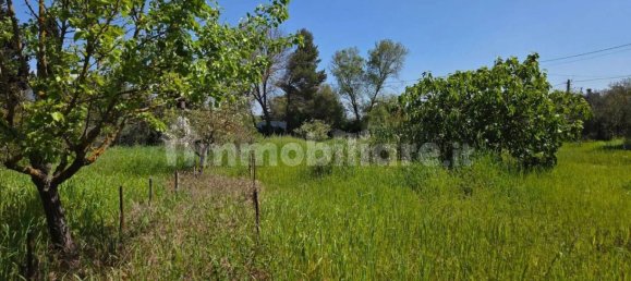 2 chambres Maison à Sardinia, Italy No. 338356 11