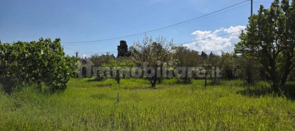 2 chambres Maison à Sardinia, Italy No. 338356 12