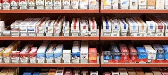 1 room Commercial property in Casale Monferrato, Italy No. 45253 17