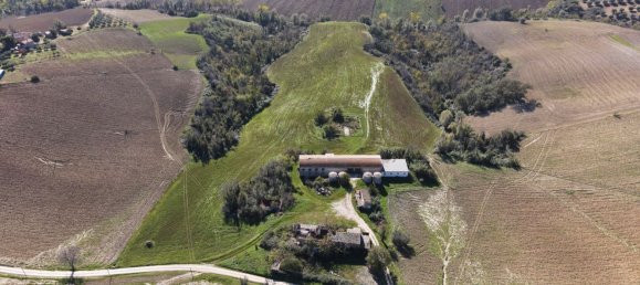 14 rooms House in Castignano, Italy No. 143589 11