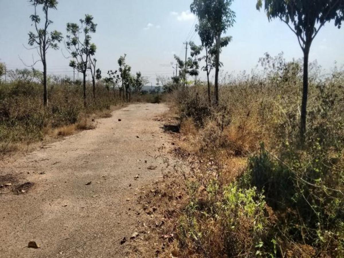 Grundstück in Bangalore, India, Nr. 36316