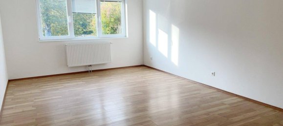2-Zimmer Wohnung in Grimmenstein, Austria, Nr. 232558 4