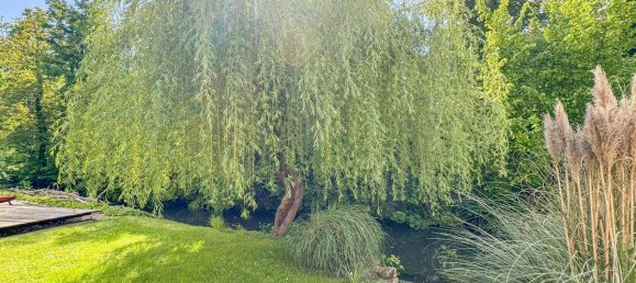 2-salle Appartement à Himberg, Austria No. 170435 11