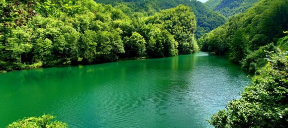 2 bedrooms House in Careggine, Italy No. 317130 19