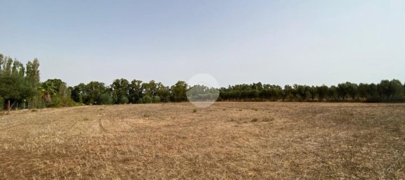  Land in Alghero, Italy No. 352579 2