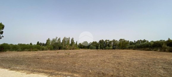  Land in Alghero, Italy No. 352579 7