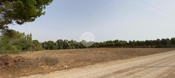  Land in Alghero, Italy No. 352579 9