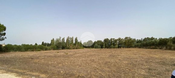  Land in Alghero, Italy No. 352579 11