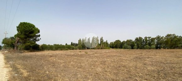  Land in Alghero, Italy No. 352579 10