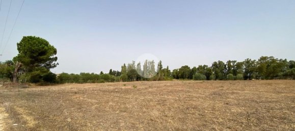  Land in Alghero, Italy No. 352579 15