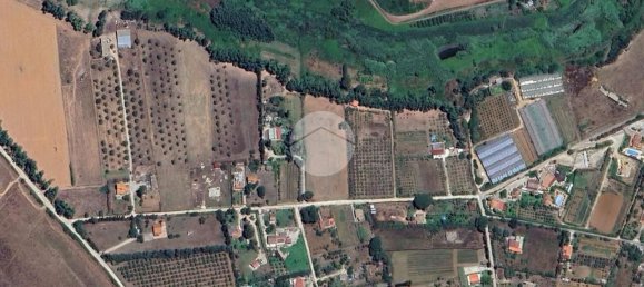  Land in Alghero, Italy No. 352579 12