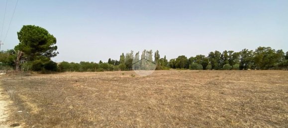  Land in Alghero, Italy No. 352579 3