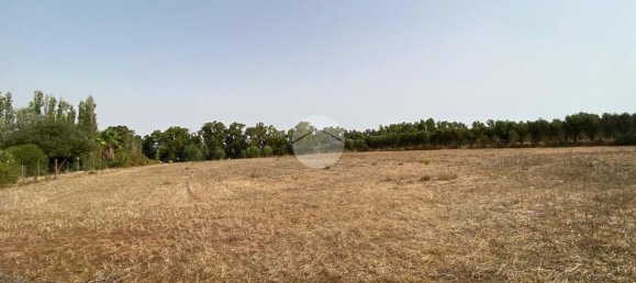  Land in Alghero, Italy No. 352579 6