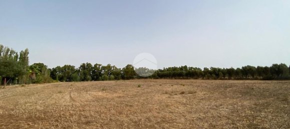  Land in Alghero, Italy No. 352579 8